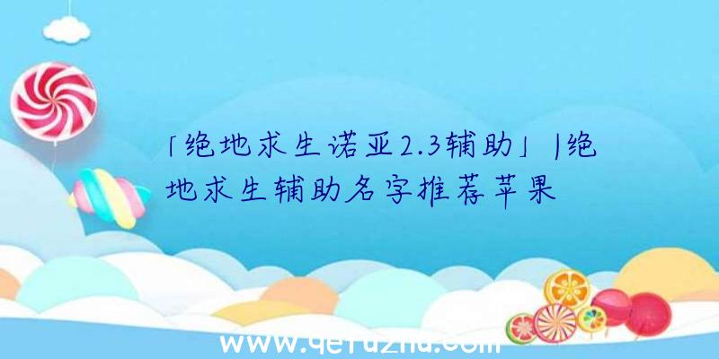 「绝地求生诺亚2.3辅助」|绝地求生辅助名字推荐苹果